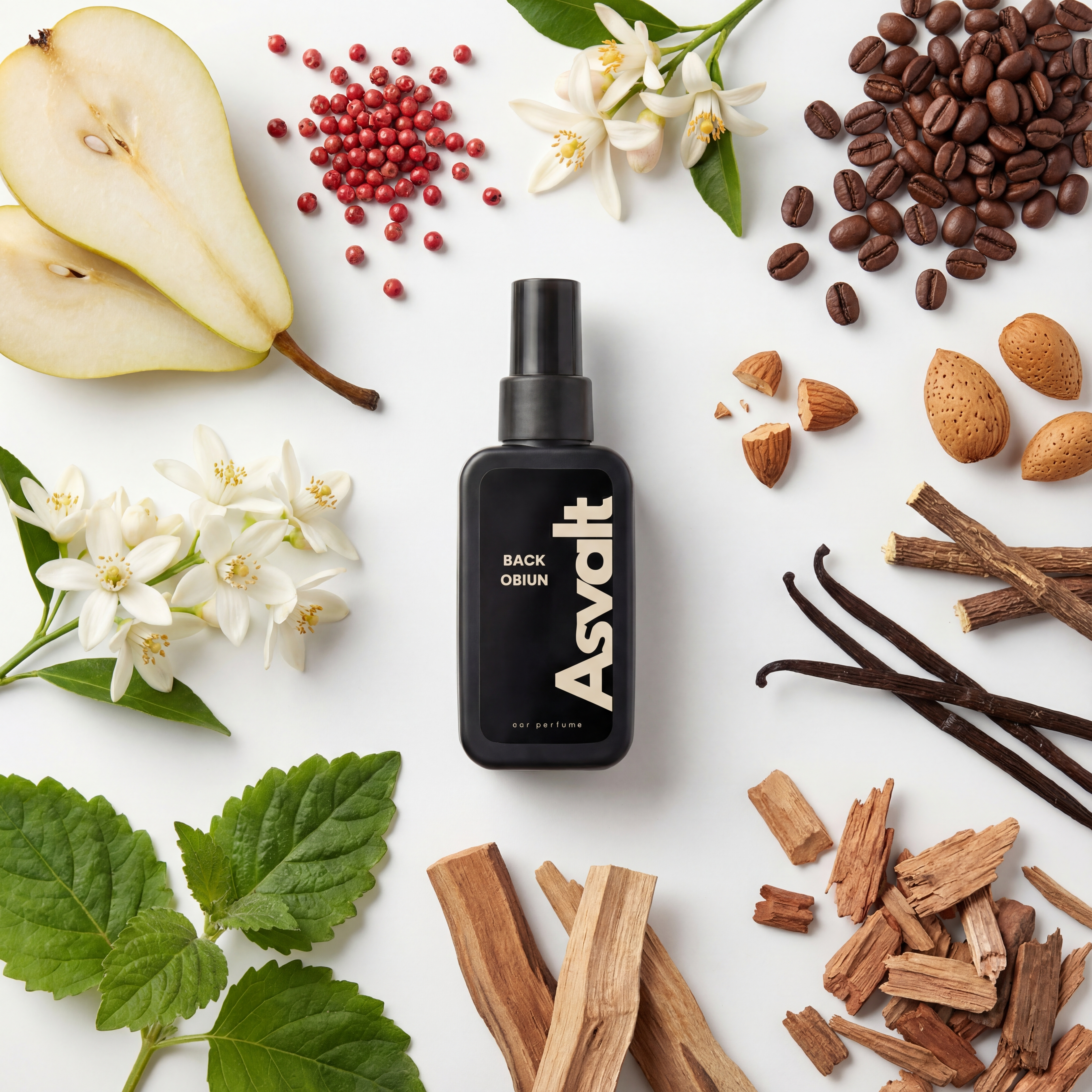 Asvalt Autoparfum | Black Obium